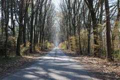 IMG_0902