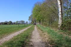 IMG_0950