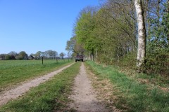 IMG_0952