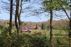 IMG_0955