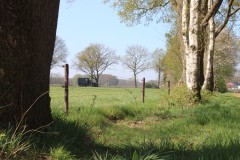 IMG_0963