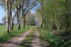 IMG_0969