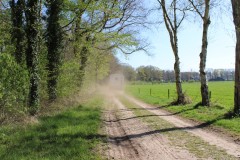 IMG_0989