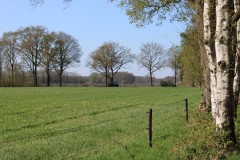 IMG_0995