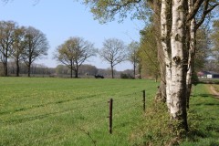 IMG_0996