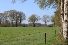 IMG_0997