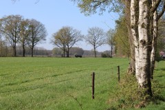 IMG_0998