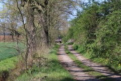 IMG_1127