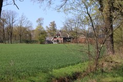 IMG_1143