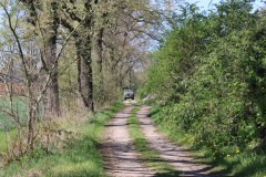 IMG_1145