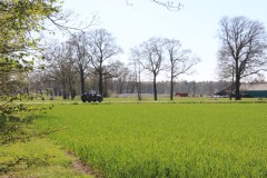 IMG_1150