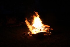 IMG_3345
