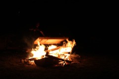IMG_3347