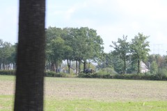 IMG_3547