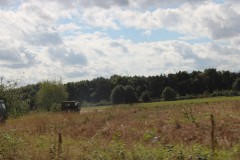 IMG_2480