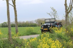 IMG_8233-1