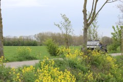 IMG_8235-1