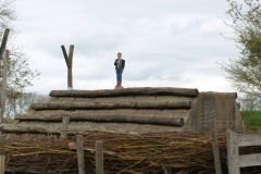 IMG_8256-1