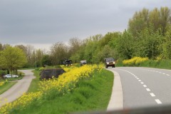IMG_8266-1