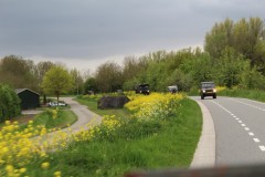 IMG_8267-1