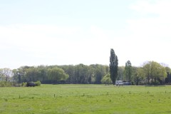IMG_3016