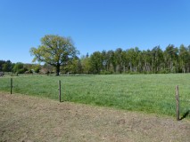 P1000258