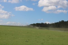 IMG_1636