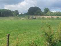 WhatsApp-Image-2025-05-18-at-20.51.55