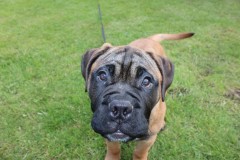 IMG_3236